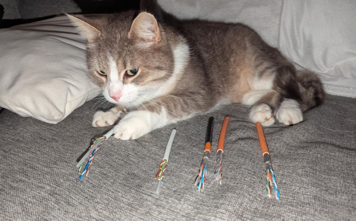 Cat kablar