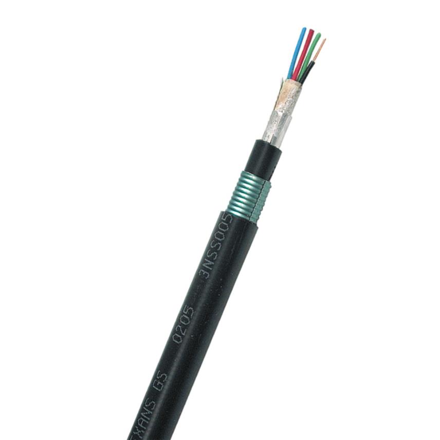 ECALWLEV (Balise Transmission Cable)