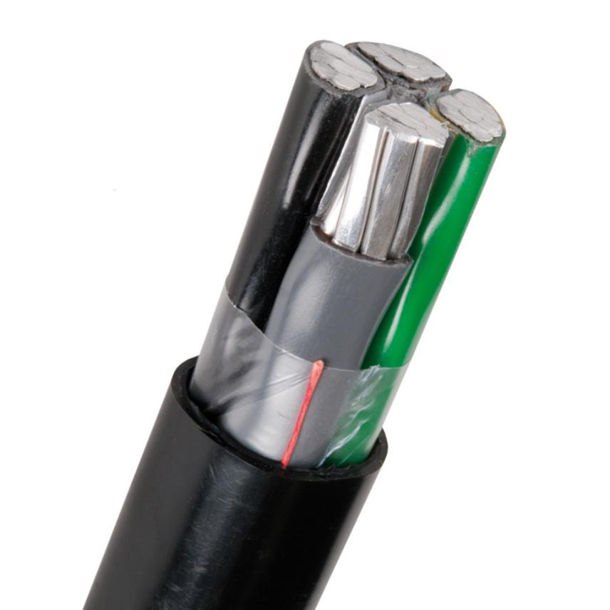 AML 1 kV