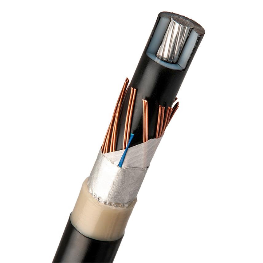 AMLJ TTCL 12 kV